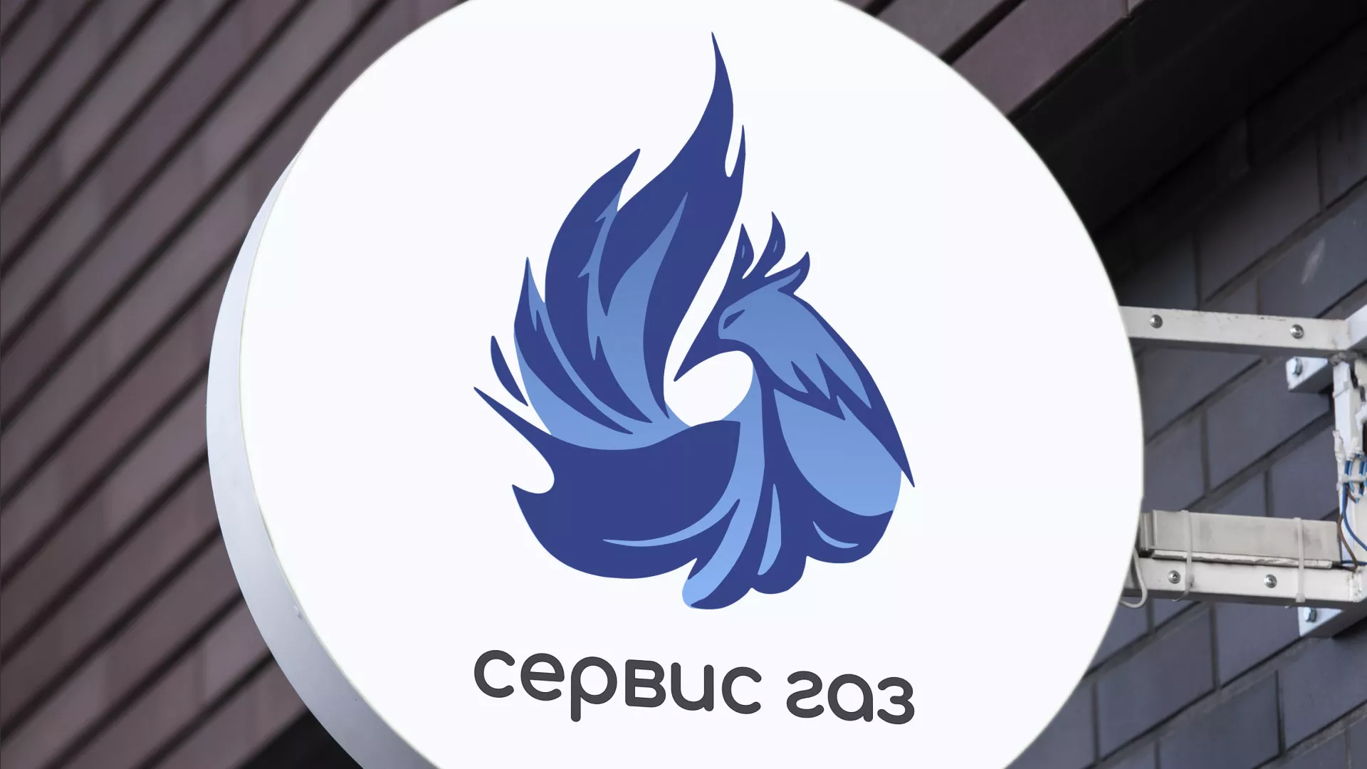 Создание логотипа «Сервис газ» в Ливнах