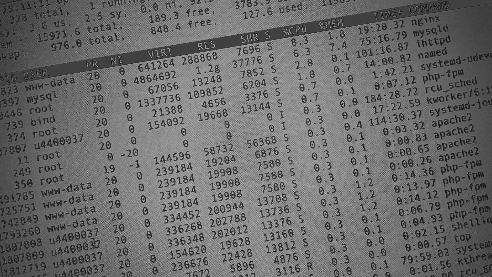 Настройка сервера в Ливнах