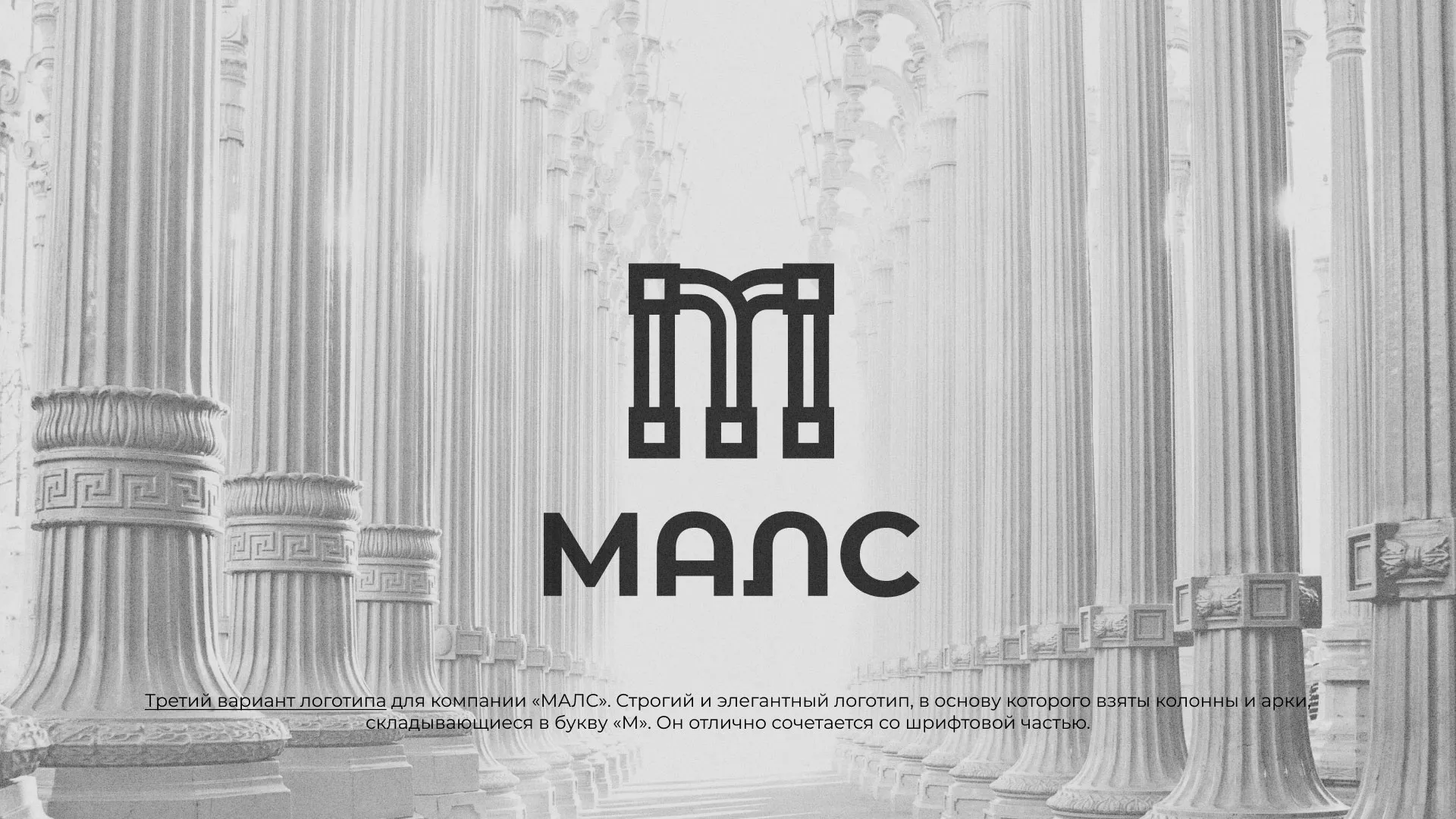 Разработка логотипа компании «МАЛС» в Ливнах