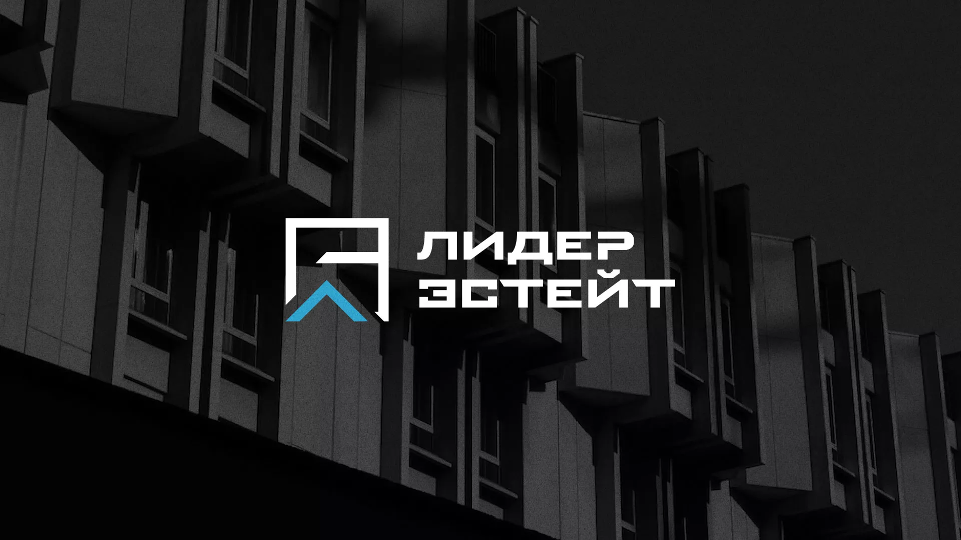 Разработка логотипа агентства недвижимости «Лидер Эстейт» в Ливнах